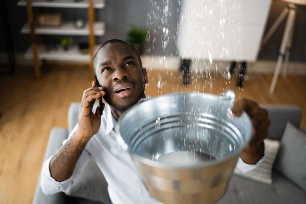 Best Water damage cleanup near me  in Waynesville, MO