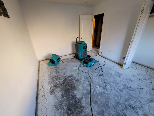 Best Water damage restoration insurance claims  in Waynesville, MO