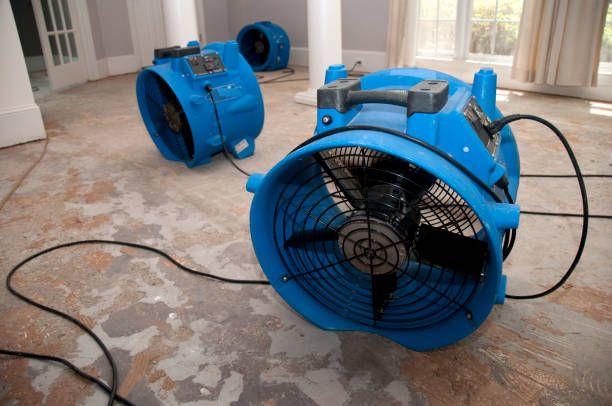 Best Flood restoration services  in Waynesville, MO